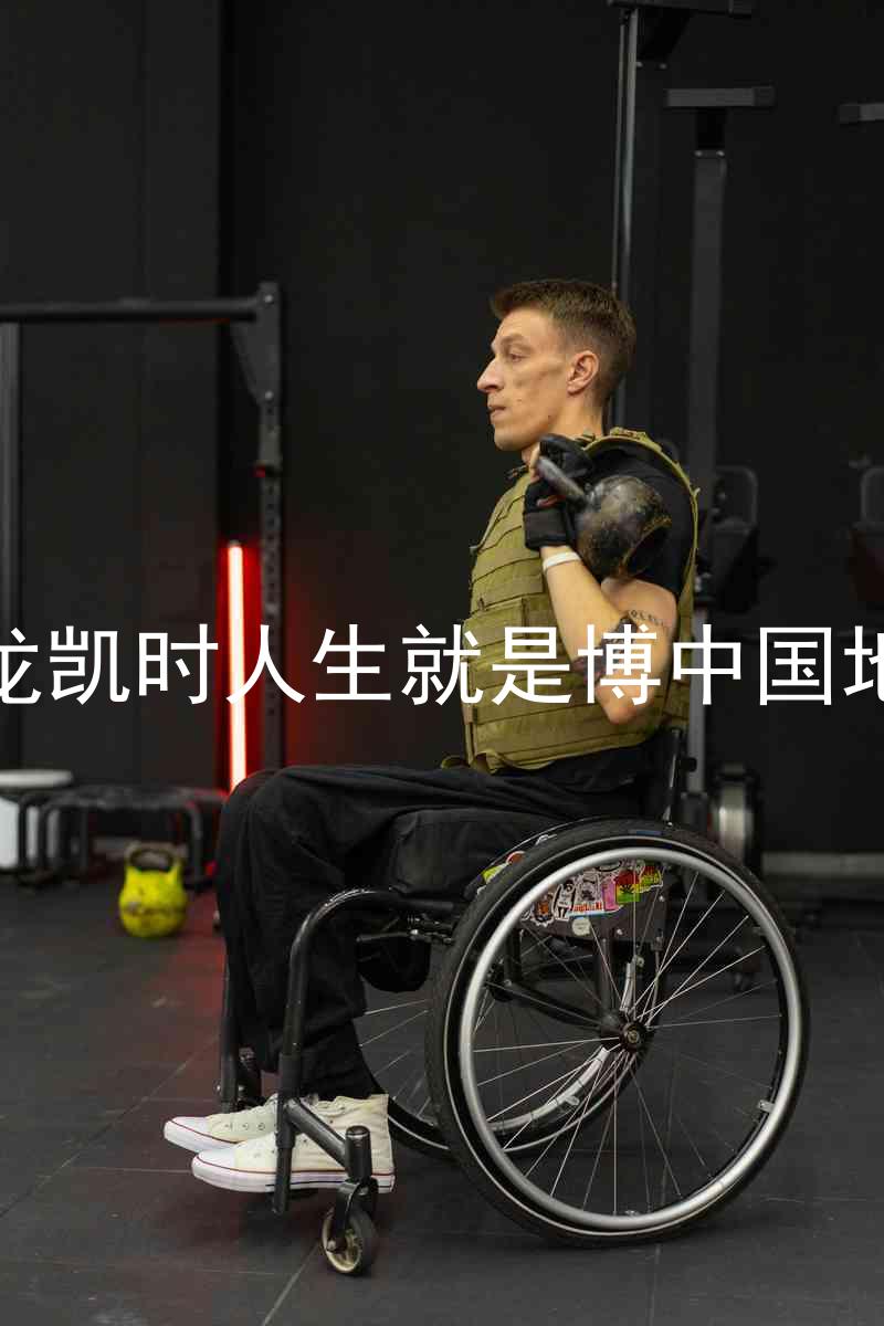 尊龙凯时人生就是博中国地区