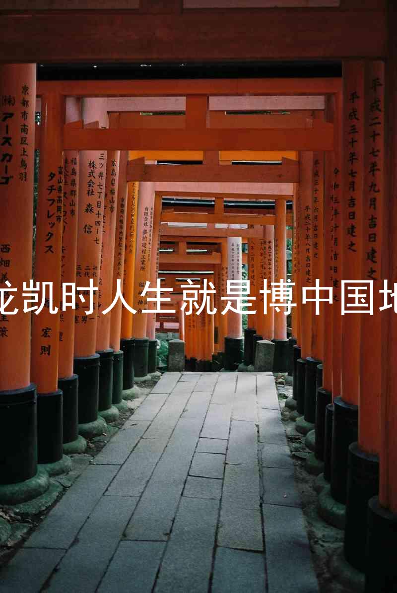 尊龙凯时人生就是博中国地区